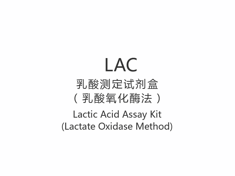 【LAC】Bộ xét nghiệm axit lactic (Phương pháp Lactate Oxidase)