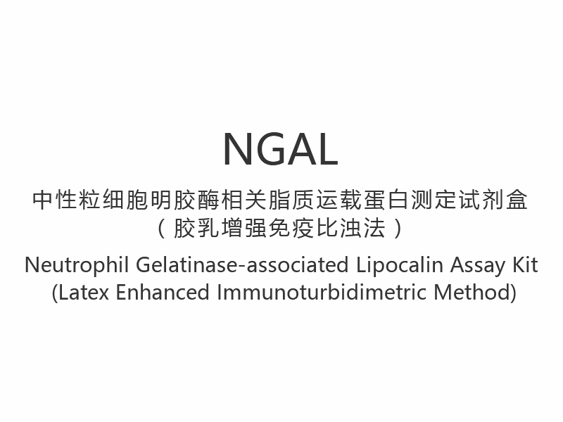 [NGAL]Bộ xét nghiệm Lipocalin liên quan đến Neutrophil Gelatinase (Phương pháp đo độ đục miễn dịch tăng cường bằng latex)